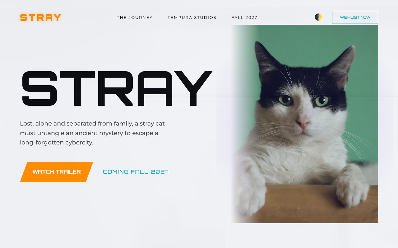 STRAY template preview